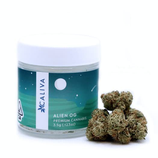 ALIEN OG WEED