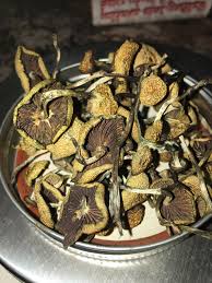 Psilocybe Stuntzil