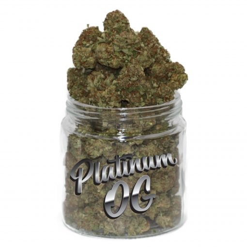 Buy Platinum OG Weed Online
