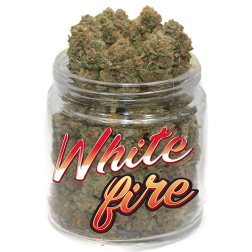 White Fire OG weed